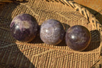 Polished Purple Lepidolite Spheres  x 5 From Madagascar - TopRock