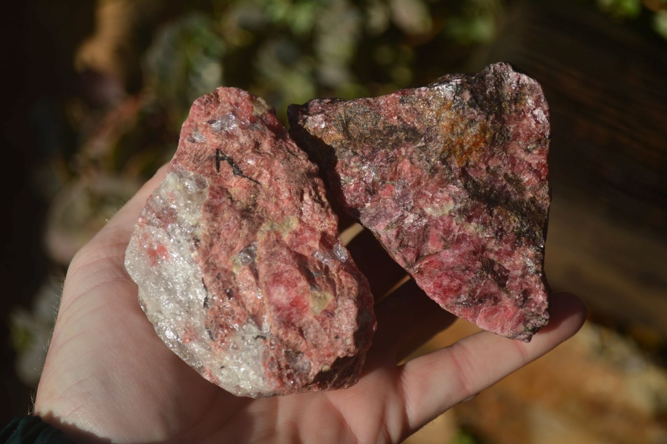 Natural Rough Red Rhodonite Specimens x 4 From Zimbabwe - Toprock Gemstones and Minerals 