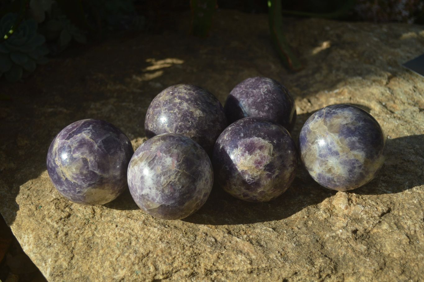 Polished Purple Lepidolite Spheres  x 6 From Zimbabwe - Toprock Gemstones and Minerals 