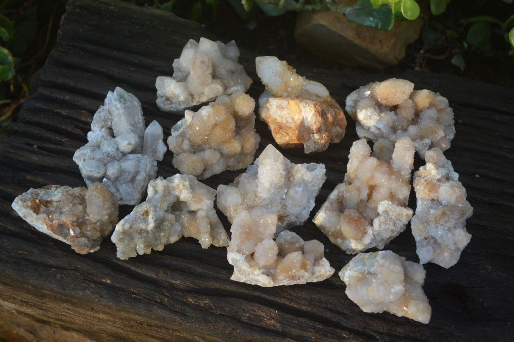 Natural Mixed Spirit Quartz Clusters x 12 From Boekenhouthoek, South Africa - Toprock Gemstones and Minerals 