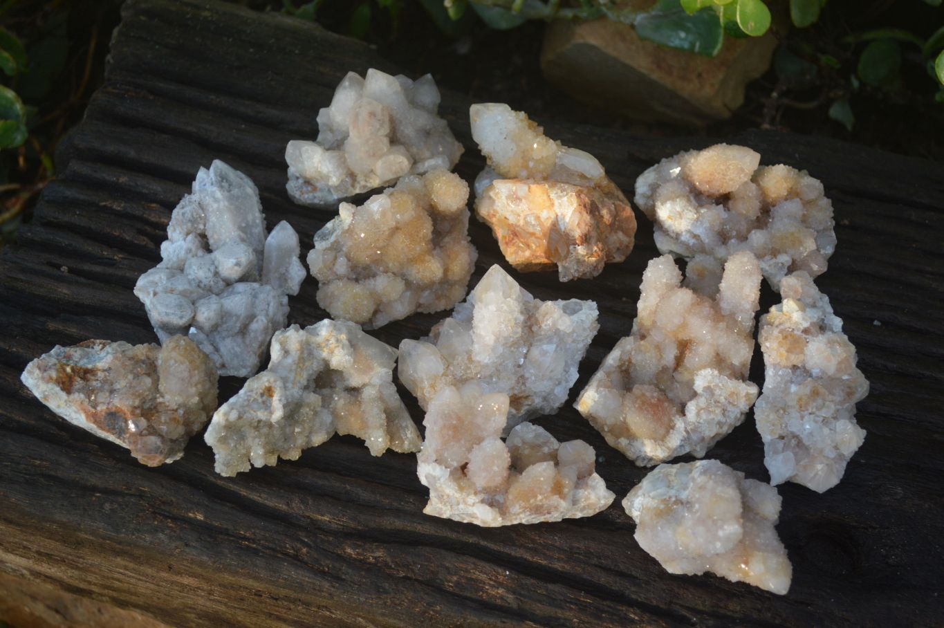 Natural Mixed Spirit Quartz Clusters x 12 From Boekenhouthoek, South Africa - Toprock Gemstones and Minerals 