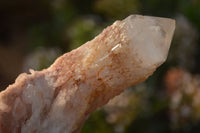 Natural Pink & Yellow Pineapple Candle Quartz Crystals x 6 From Madagascar - Toprock Gemstones and Minerals 