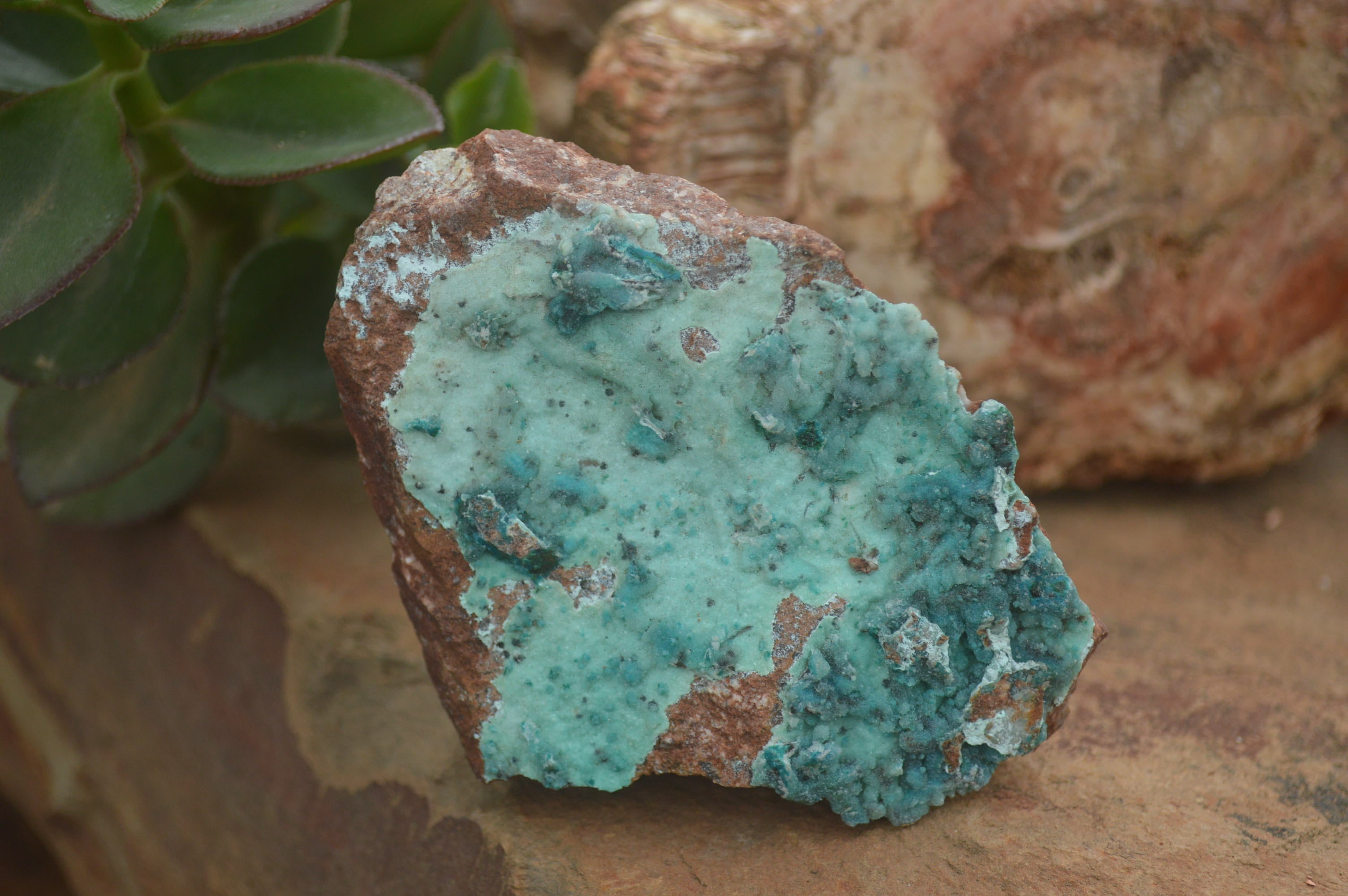 Natural Blue Drusy Chrysocolla Dolomite & Malachite Specimens  x 6 From Likasi, Congo - TopRock