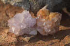 Natural Small Mixed Spirit Quartz Crystals & Clusters  x 35 From Boekenhouthoek, South Africa - Toprock Gemstones and Minerals 