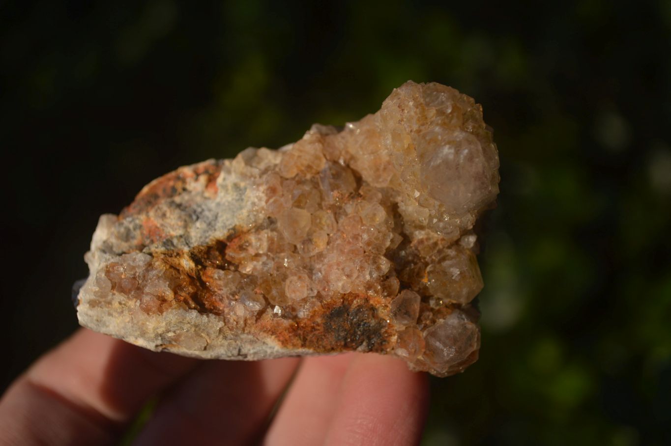 Natural Mixed Spirit Quartz Clusters x 12 From Boekenhouthoek, South Africa - Toprock Gemstones and Minerals 