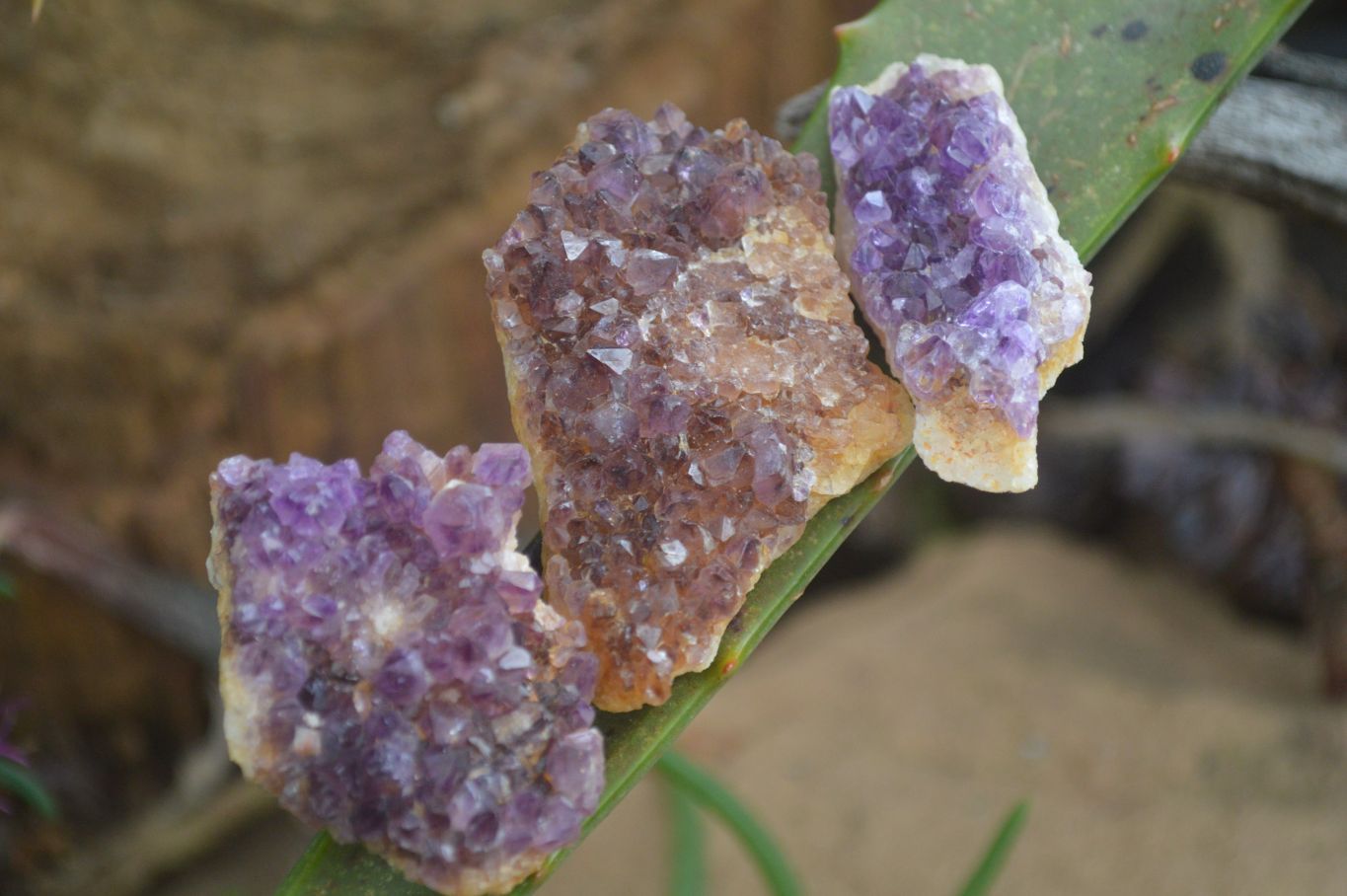 Natural Small Dark "Amethystos" Amethyst Clusters  x 35 From Kwaggafontein, South Africa - Toprock Gemstones and Minerals 