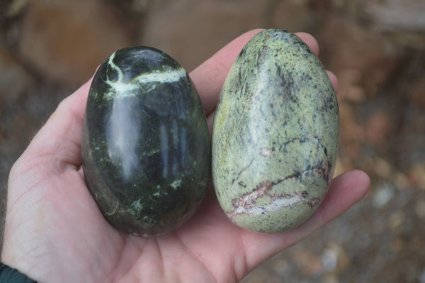 Polished Leopard Stone Free Forms  x 6 From Zimbabwe - Toprock Gemstones and Minerals 