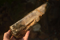 Polished  Large Morion Smokey Quartz Crystals  x 2 From Zimbabwe - Toprock Gemstones and Minerals 
