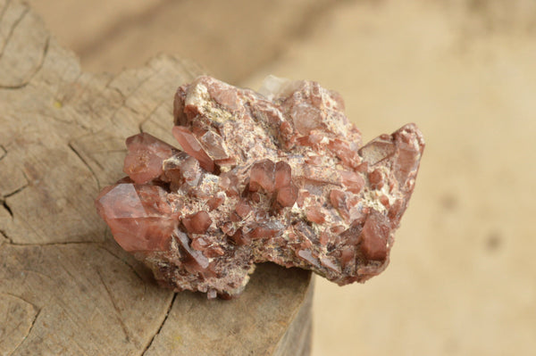 Natural Medium Sized Red Hematoid Phantom Quartz Crystals  x 8 From Karoi, Zimbabwe - TopRock