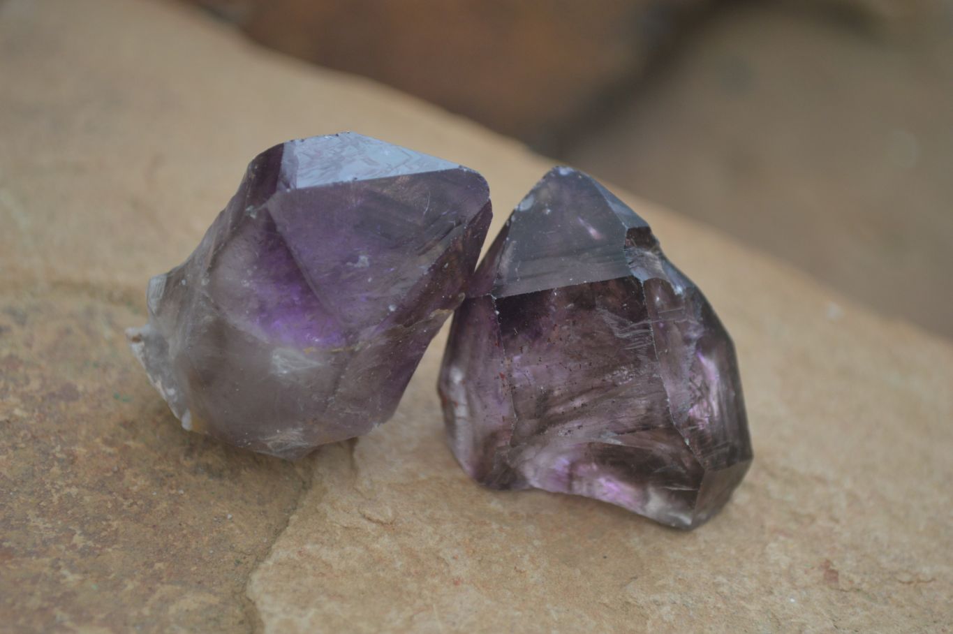 Natural Large Smokey Amethyst / Window Amethyst Crystals  x 12 From Chiredzi, Zimbabwe - Toprock Gemstones and Minerals 