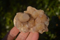 Natural Mixed Spirit Quartz Clusters x 12 From Boekenhouthoek, South Africa - Toprock Gemstones and Minerals 