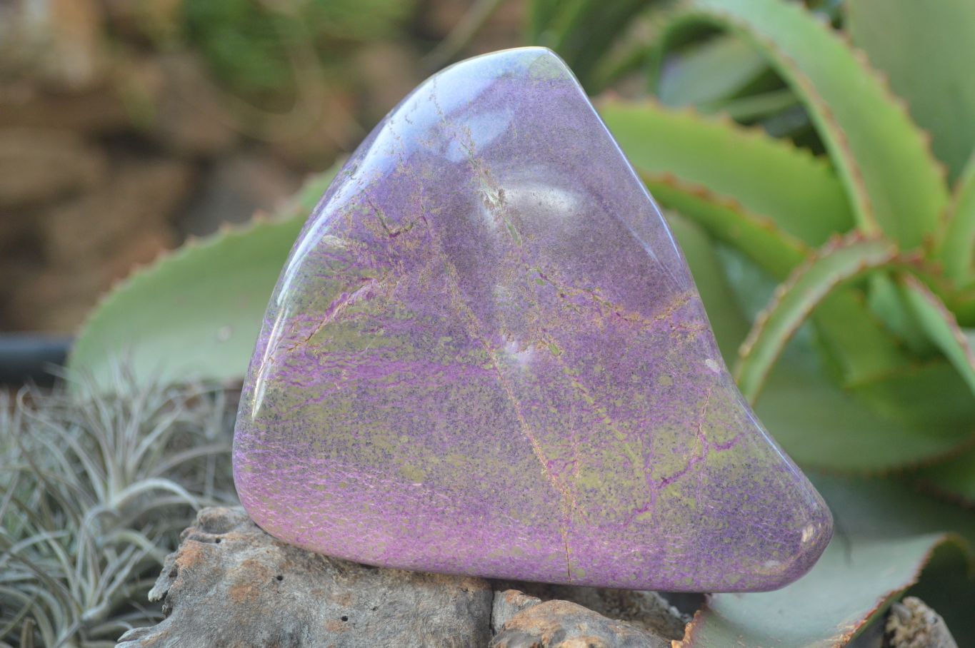 Polished Purple Stichtite & Serpentine Standing Free Form x 1 From Barberton, South Africa - Toprock Gemstones and Minerals 
