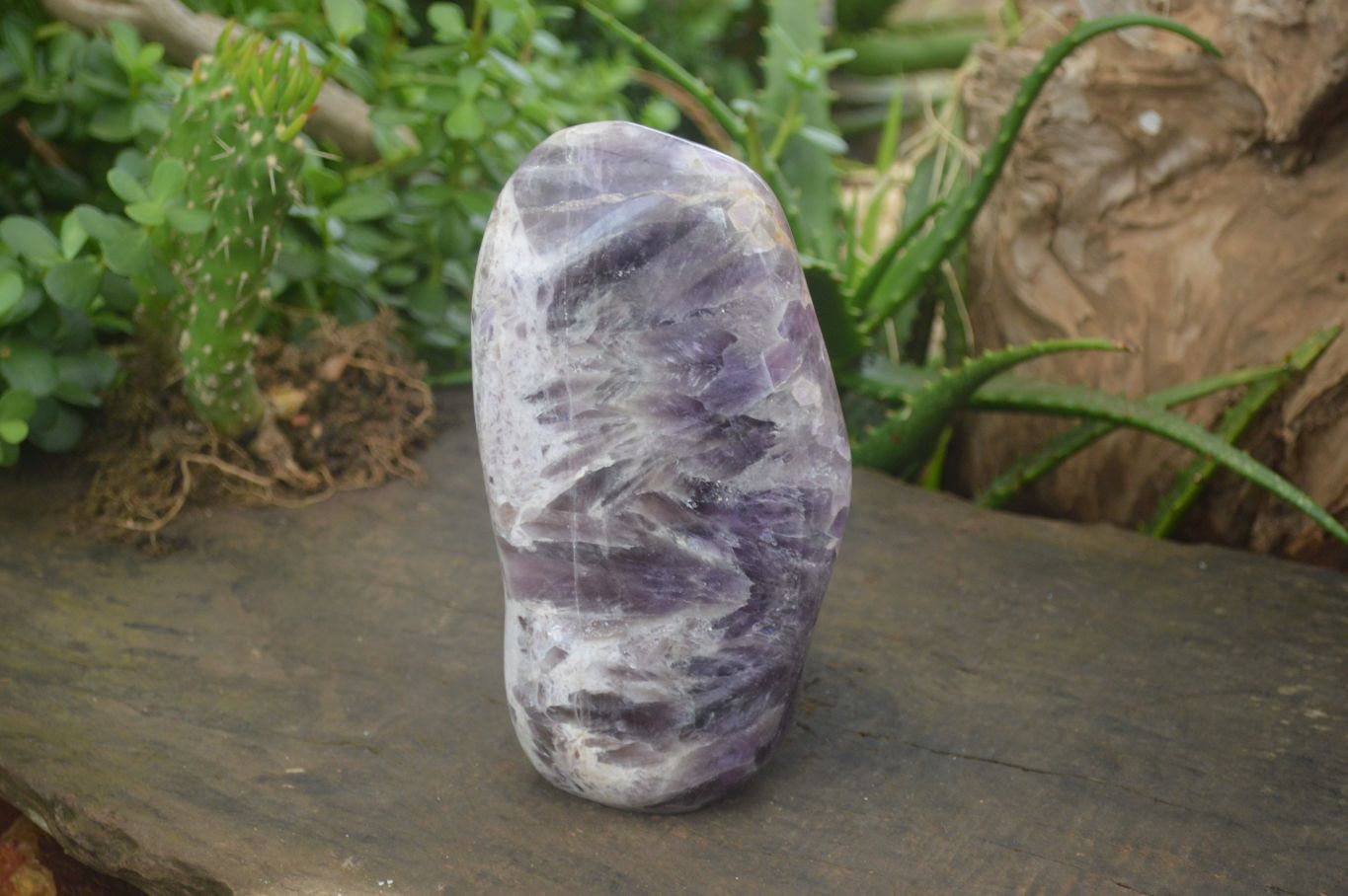 Polished Dream Amethyst Standing Free Form  x 1 From Madagascar - Toprock Gemstones and Minerals 