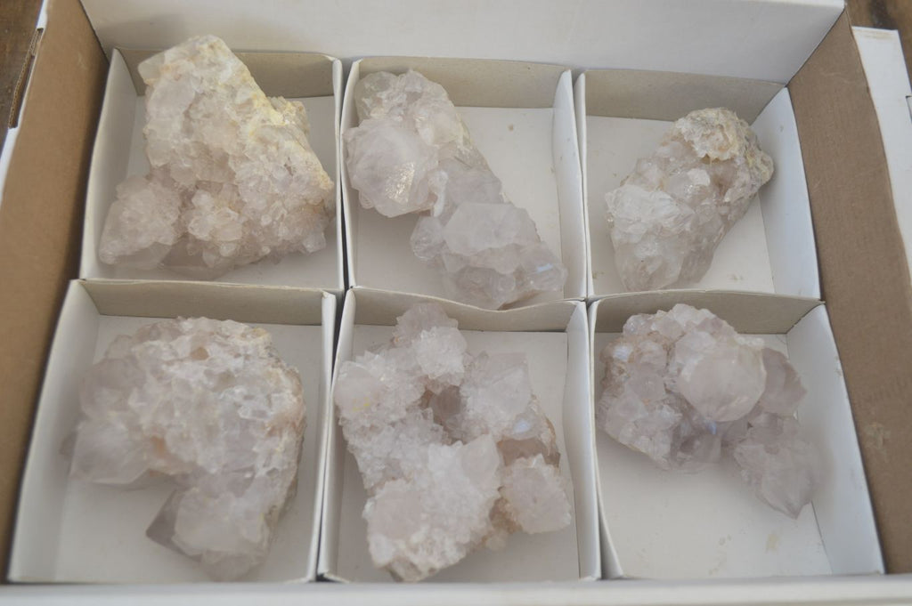 Natural White Cactus Flower Spirit Quartz Specimens x 6 From Boekenhouthoek, South Africa - Toprock Gemstones and Minerals 