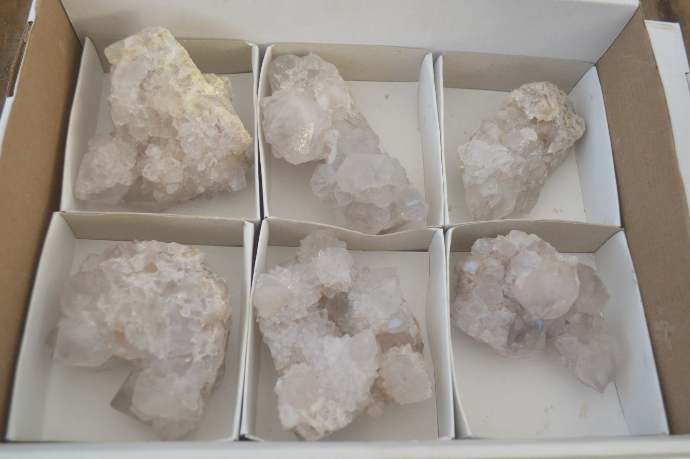 Natural White Cactus Flower Spirit Quartz Specimens x 6 From Boekenhouthoek, South Africa - Toprock Gemstones and Minerals 