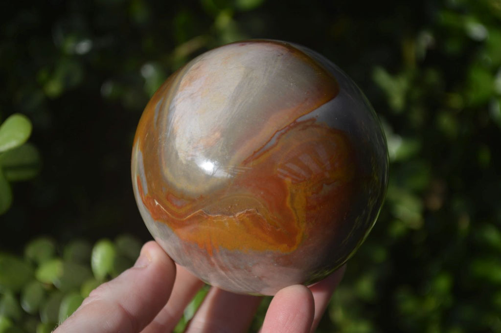 Polished Polychrome Jasper Spheres  x 2 From Madagascar - Toprock Gemstones and Minerals 