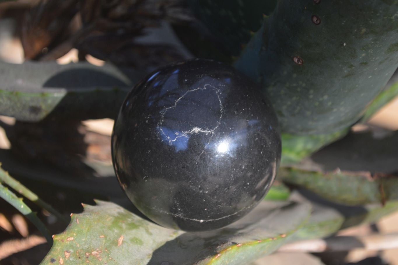 Polished Black Basalt Spheres x 2 From Madagascar - Toprock Gemstones and Minerals 