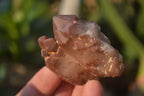 Natural Red Hematoid Quartz Specimens x 24 From Karoi, Zimbabwe - Toprock Gemstones and Minerals 
