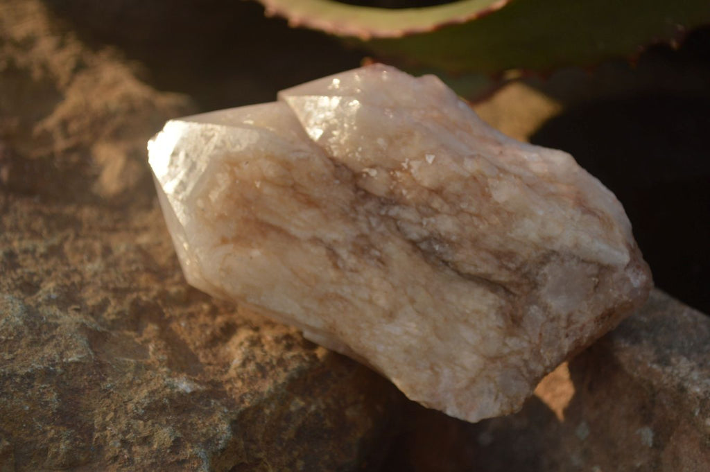 Natural Pink & Yellow Pineapple Candle Quartz Crystals x 6 From Madagascar - Toprock Gemstones and Minerals 