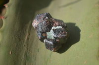 Natural Red Pyrope Garnet Crystals  x 70 From Zimbabwe