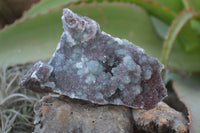 Natural Drusy Coated Ball Malachite On Dolomite Specimens  x 3 From Likasi, Congo - Toprock Gemstones and Minerals 