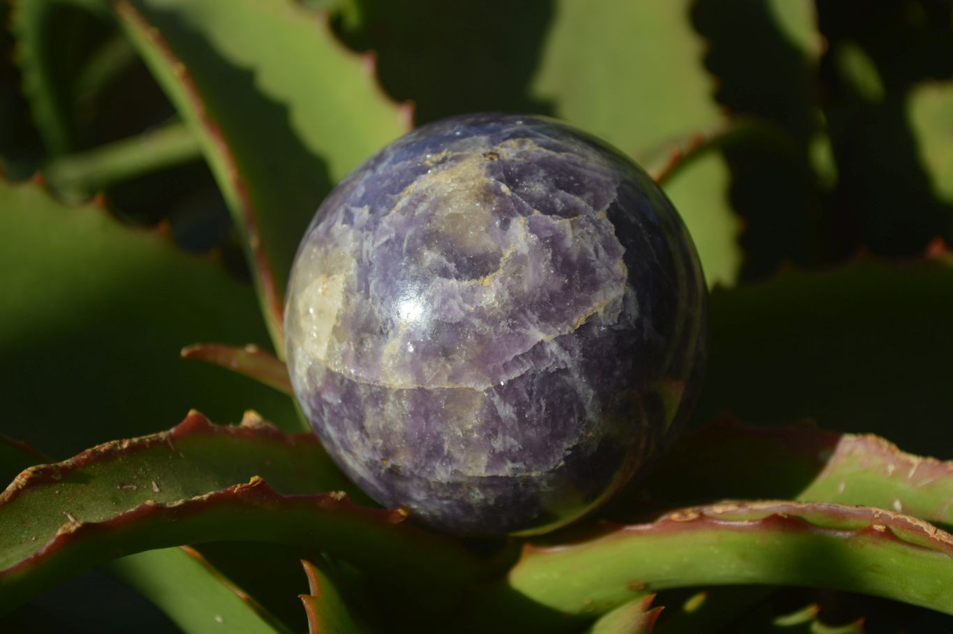 Polished Purple Lepidolite Spheres  x 6 From Zimbabwe - Toprock Gemstones and Minerals 