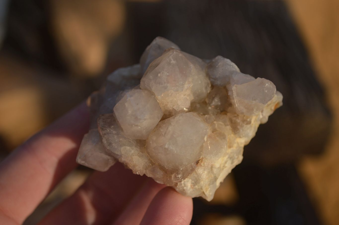 Natural Mixed Spirit Quartz Clusters x 12 From Boekenhouthoek, South Africa - Toprock Gemstones and Minerals 