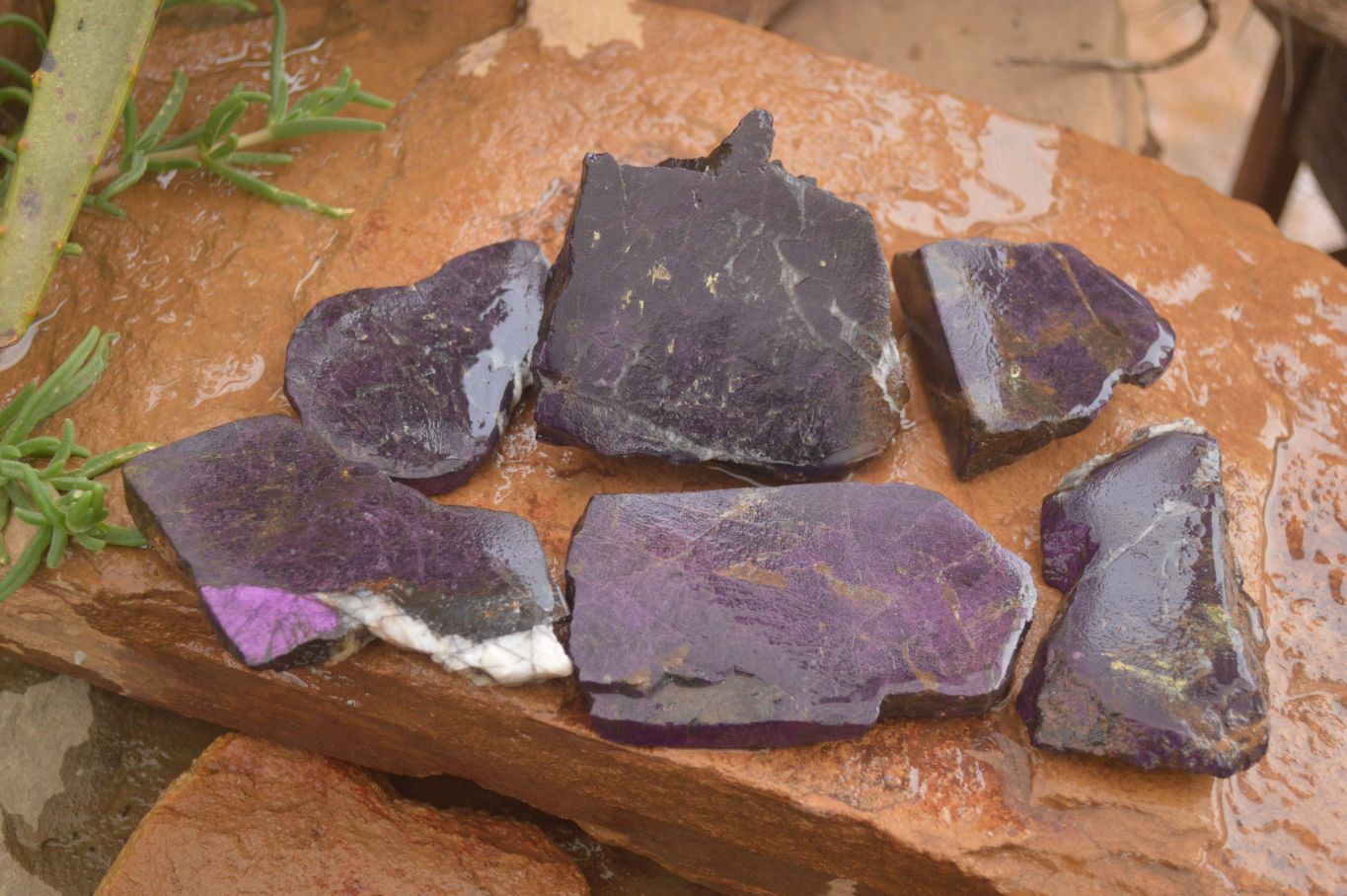 Polished  Metallic Purpurite Slices With Matte Finish x 6 From Erongo, Namibia - Toprock Gemstones and Minerals 