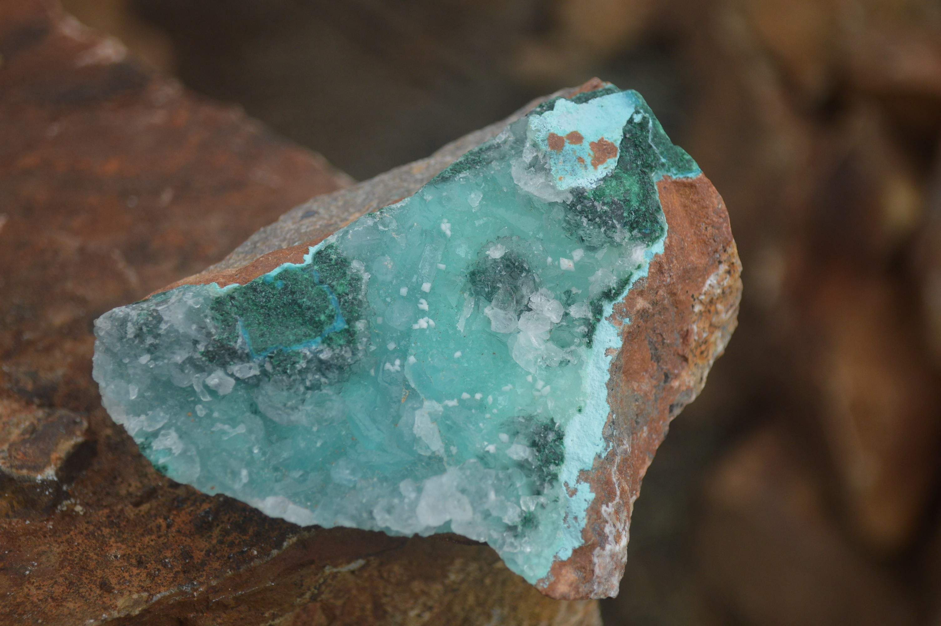 Natural Blue Drusy Chrysocolla Dolomite & Malachite Specimens  x 6 From Likasi, Congo - TopRock