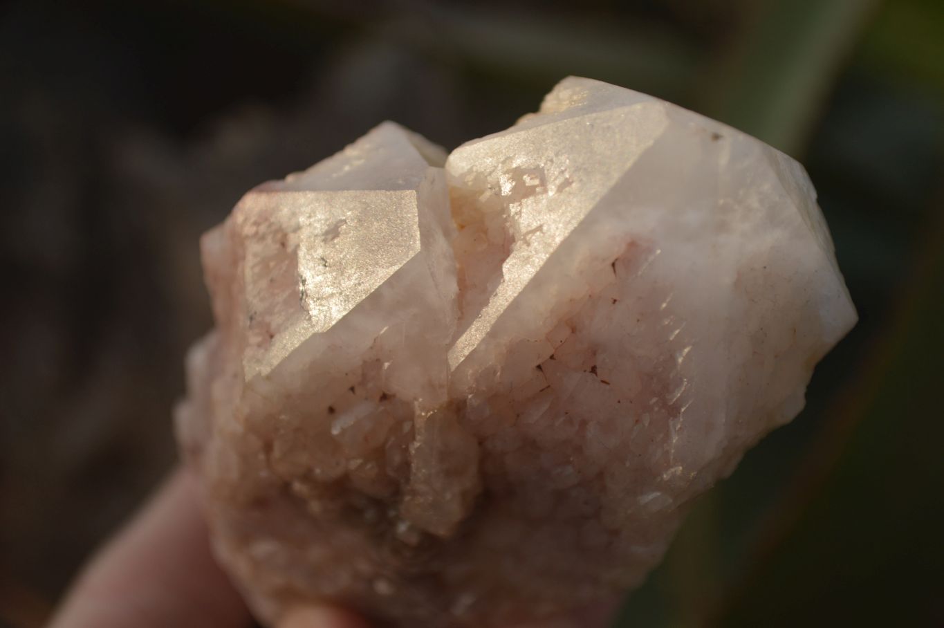 Natural Pink & Yellow Pineapple Candle Quartz Crystals x 6 From Madagascar - Toprock Gemstones and Minerals 