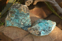 Natural Drusy Coated Chrysocolla Dolomite Specimens x 2 From Likasi, Congo - Toprock Gemstones and Minerals 