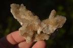 Natural Mixed Spirit Quartz Clusters x 12 From Boekenhouthoek, South Africa - Toprock Gemstones and Minerals 