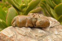 Polished Hand Carved Verdite Hippos  x 2 From Zimbabwe - TopRock