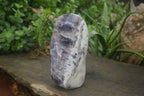 Polished Dream Amethyst Standing Free Form  x 1 From Madagascar - Toprock Gemstones and Minerals 