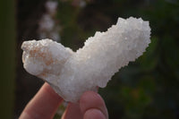Natural White Cactus Flower Spirit Quartz Specimens x 12 From Boekenhouthoek, South Africa - Toprock Gemstones and Minerals 