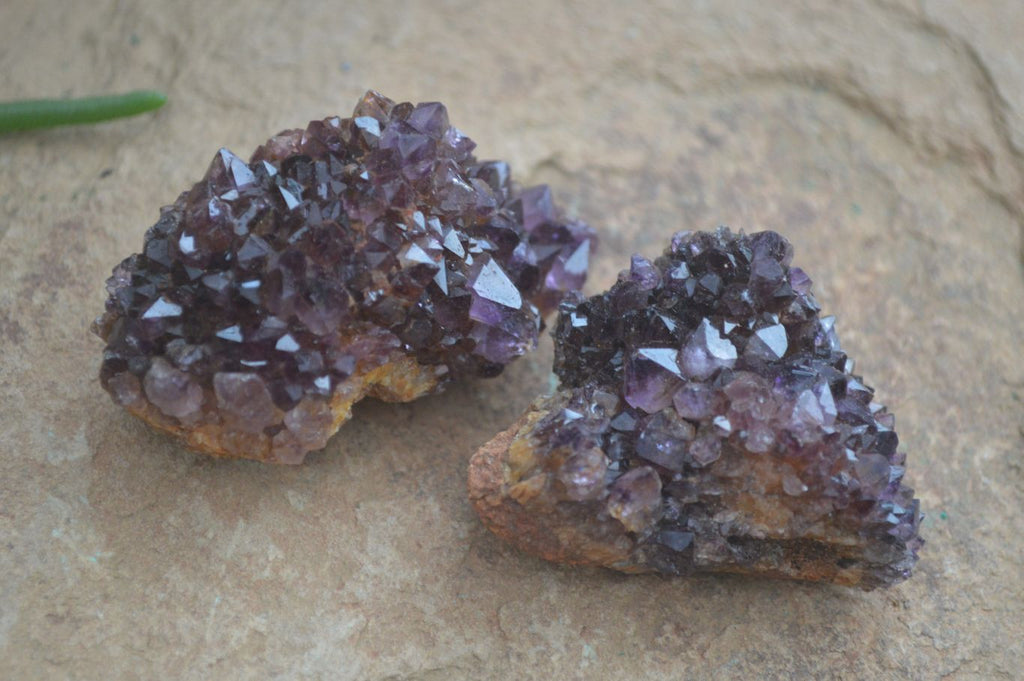 Natural Small Dark "Amethystos" Amethyst Clusters  x 35 From Kwaggafontein, South Africa - Toprock Gemstones and Minerals 