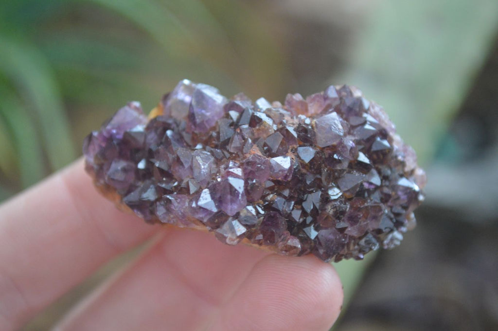 Natural Small Dark "Amethystos" Amethyst Clusters  x 35 From Kwaggafontein, South Africa - Toprock Gemstones and Minerals 