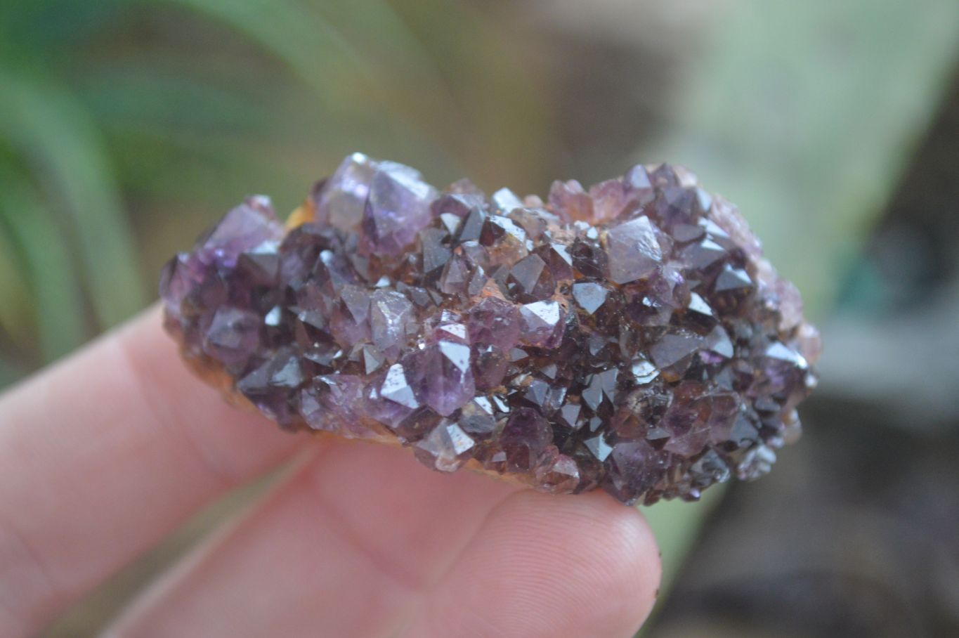 Natural Small Dark "Amethystos" Amethyst Clusters  x 35 From Kwaggafontein, South Africa - Toprock Gemstones and Minerals 