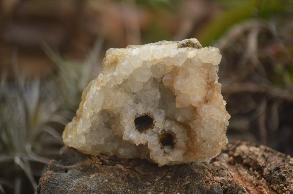 Natural Drusy Coated Mountain Quartz Specimens  x 18 From Alberts Mountain, Lesotho - TopRock