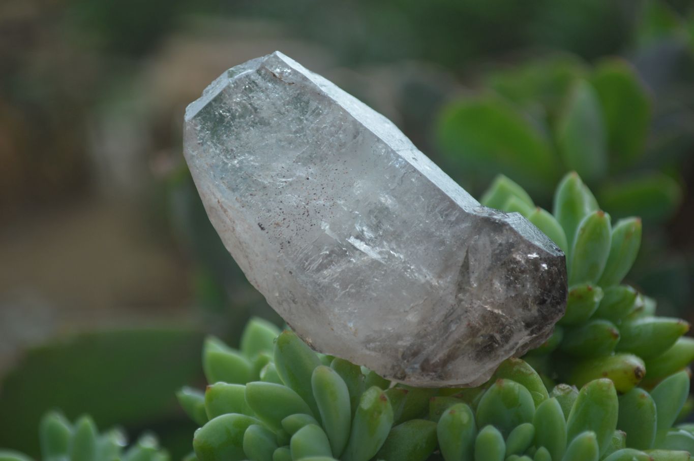 Natural Large Smokey Amethyst / Window Amethyst Crystals  x 12 From Chiredzi, Zimbabwe - Toprock Gemstones and Minerals 