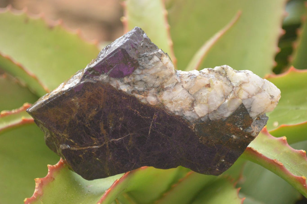 Polished  Metallic Purpurite Slices With Matte Finish x 6 From Erongo, Namibia - Toprock Gemstones and Minerals 