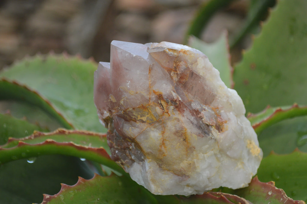 Natural Red Hematoid Quartz Specimens x 3 From Karoi, Zimbabwe - Toprock Gemstones and Minerals 