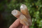 Natural Pink Candle Quartz Clusters  x 12 From Madagascar - Toprock Gemstones and Minerals 