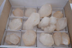 Natural Large Single Quartz Crystal Specimens  x 13 From Madagascar - Toprock Gemstones and Minerals 