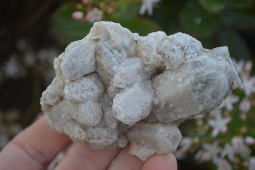 Natural Mixed Spirit Quartz Clusters x 12 From Boekenhouthoek, South Africa - Toprock Gemstones and Minerals 
