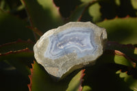 Polished One Side Polished Blue Lace Agate Pieces x 6 From Nsanje, Malawi - Toprock Gemstones and Minerals 