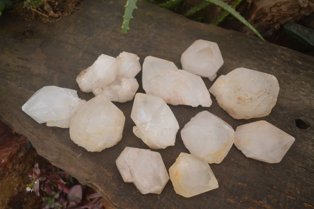 Natural Large Single Quartz Crystal Specimens  x 13 From Madagascar - Toprock Gemstones and Minerals 