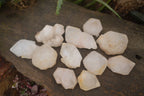 Natural Large Single Quartz Crystal Specimens  x 13 From Madagascar - Toprock Gemstones and Minerals 