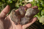 Natural Window Amethyst Crystals  x 12 From Chiredzi, Zimbabwe - Toprock Gemstones and Minerals 