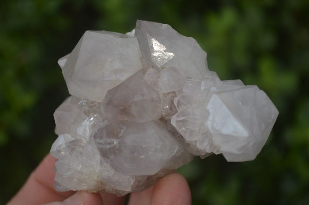 Natural White Cactus Flower Spirit Quartz Specimens x 6 From Boekenhouthoek, South Africa - Toprock Gemstones and Minerals 
